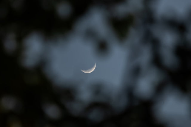 New Moon in Pisces 2026: Healing and Release – DRUZY