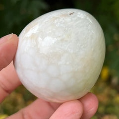 Scolecite