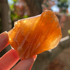 Aragonite honey