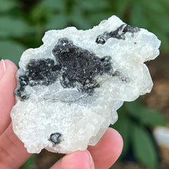 Zeolite