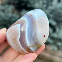 Botswana Agate