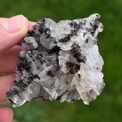 Calcite Mouse Ear