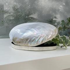 Mother-of-Pearl
