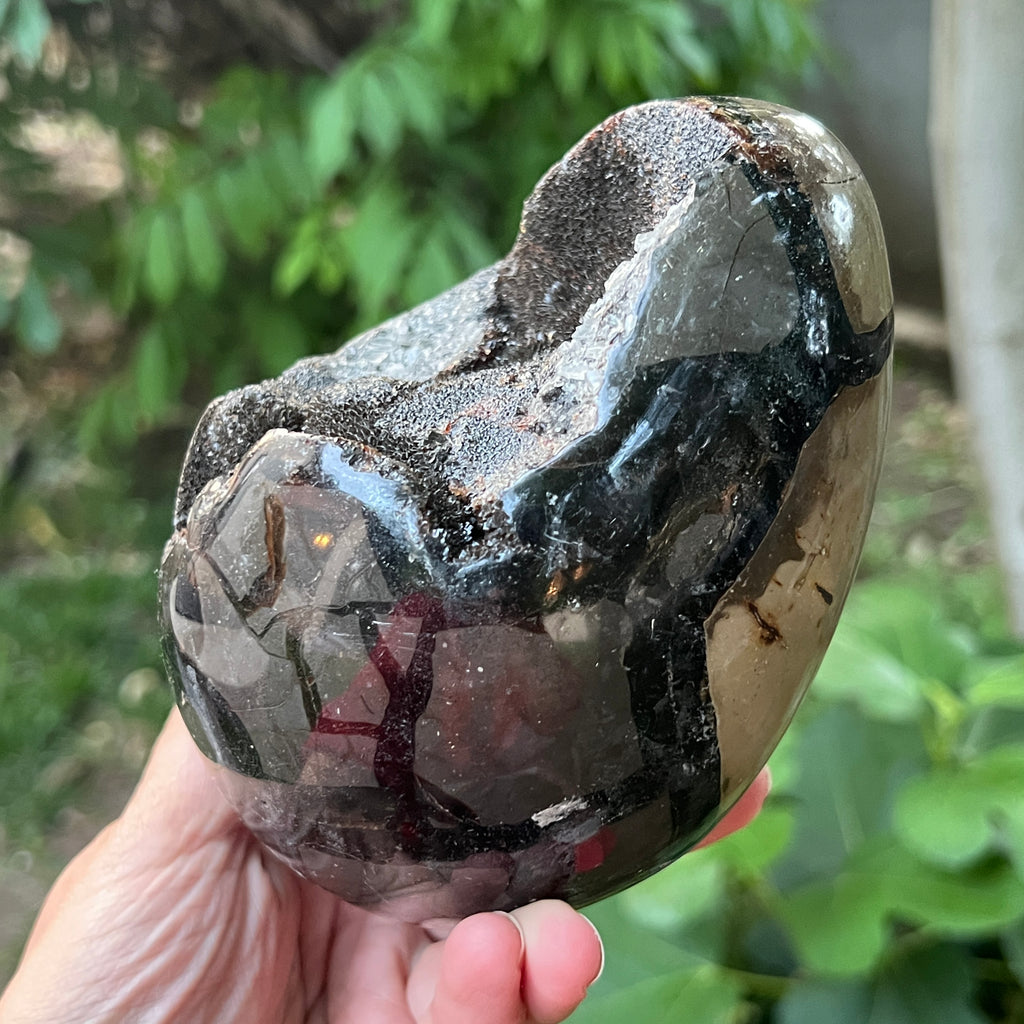Ou Septaria din Madagascar, piatra dragonului, XL1, pietre semipretioase - druzy.ro 5 