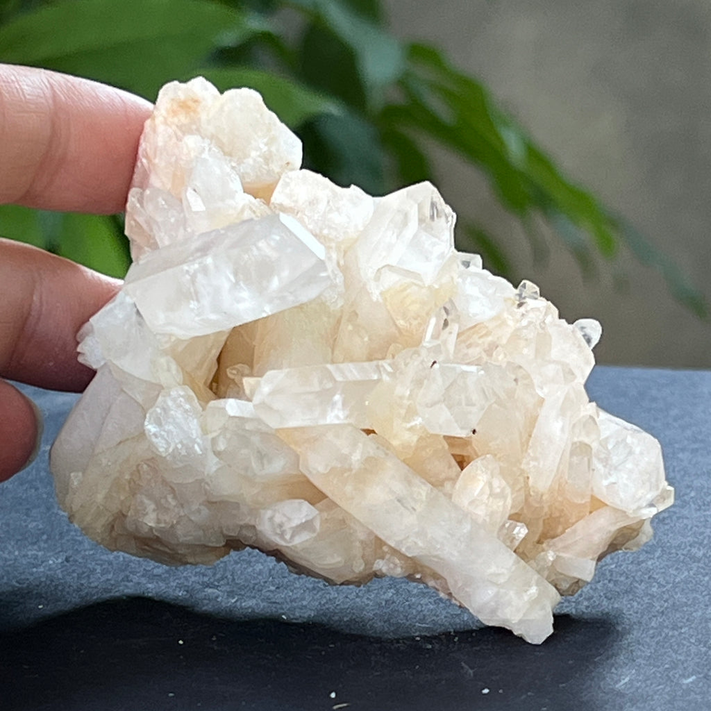 Cluster cuart incolor, floare de mina, cristal de stanca Zimbabwe m11, pietre semipretioase - druzy.ro 3 