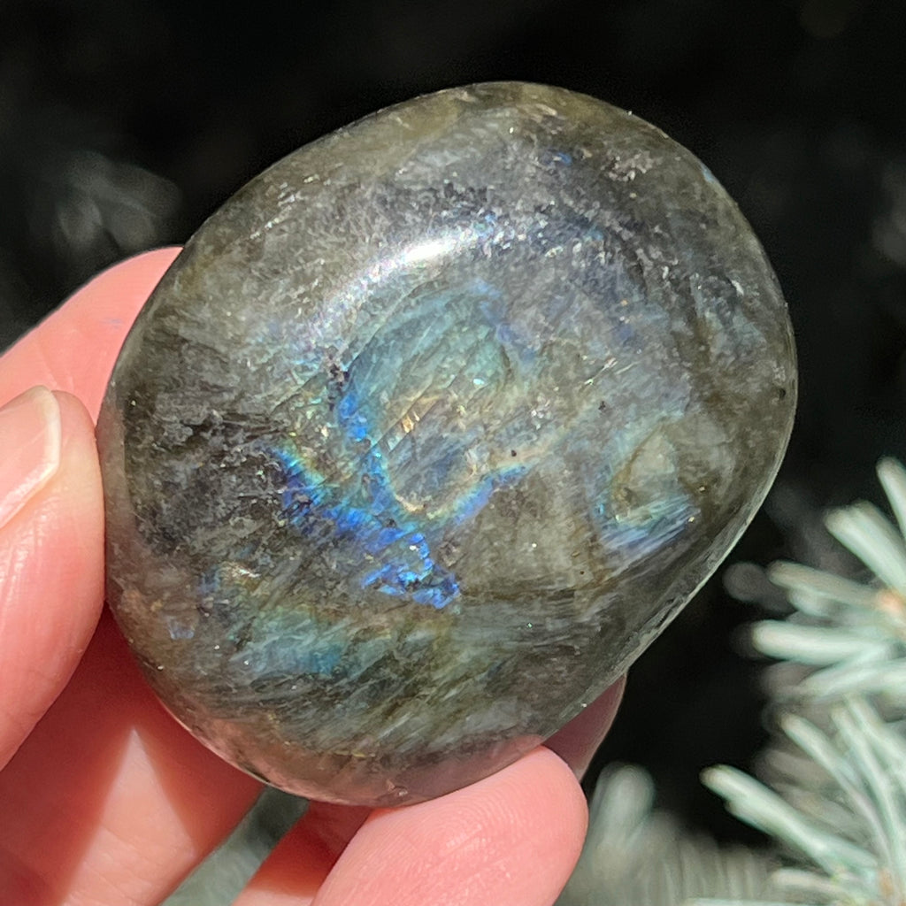 Labradorit palm stone m1, druzy.ro, cristale 3