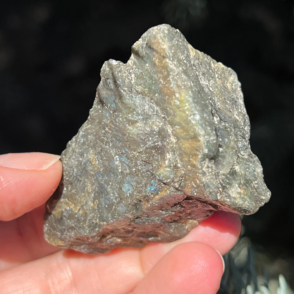 Labradorit piatra bruta polisata pe o fata m8, druzy.ro, cristale 4