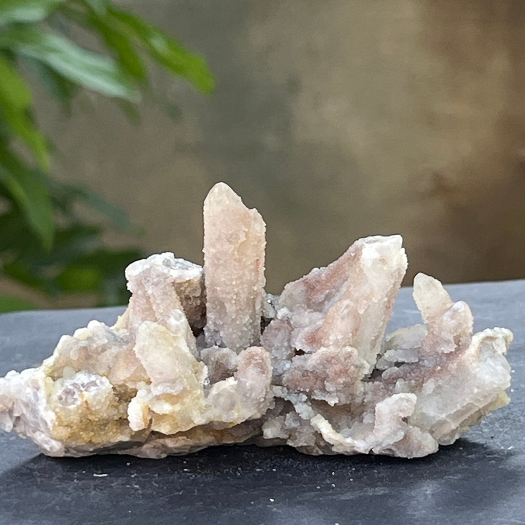 Cluster cuart spirit stalactit | Model 8, pietre semipretioase - druzy.ro 8 
