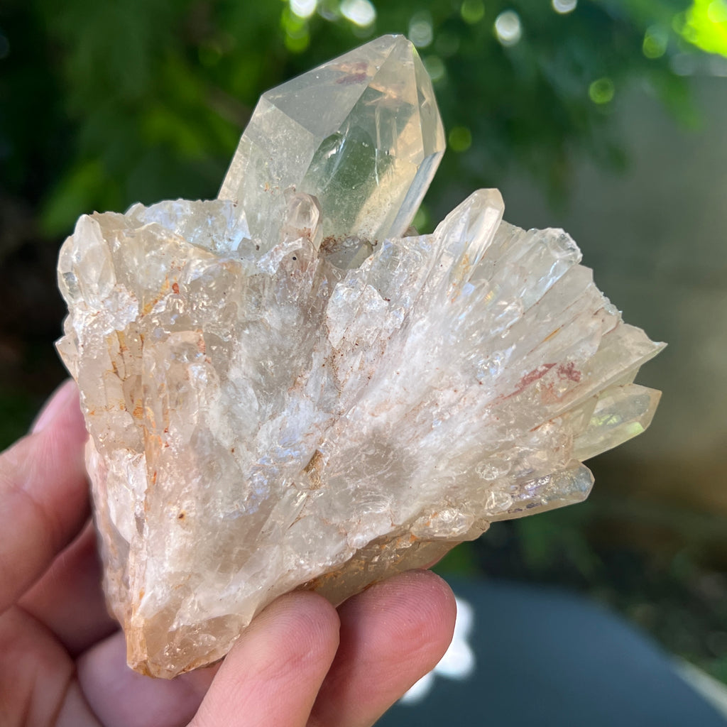 Citrin din Congo – specimen natural, netratat | Model 11, pietre semipretioase - druzy.ro 5 