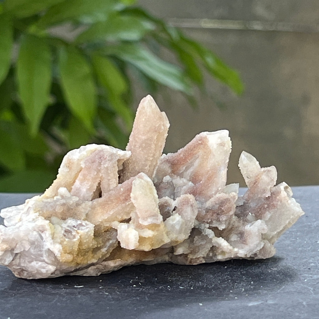 Cluster cuart spirit stalactit | Model 8, pietre semipretioase - druzy.ro 3 