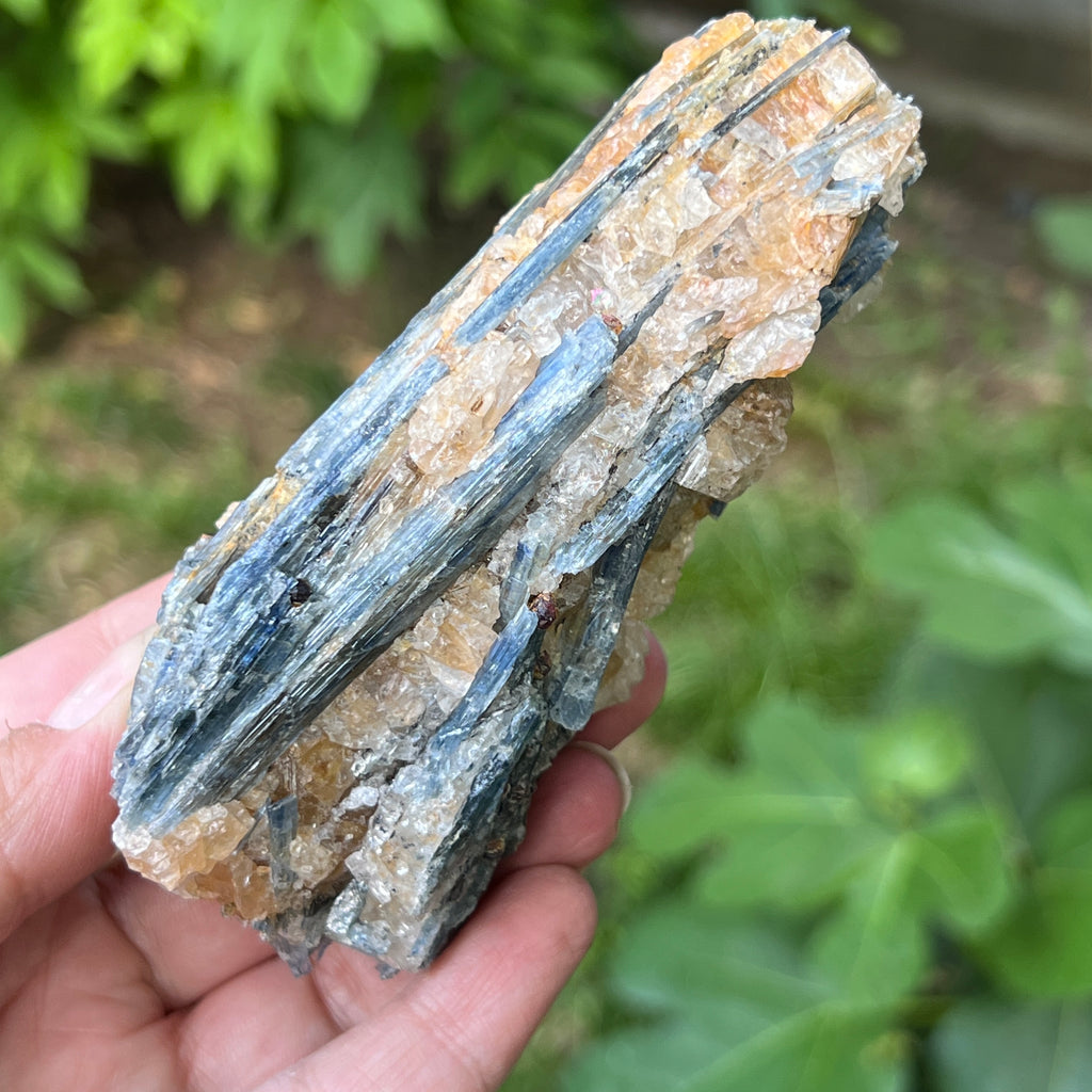 Kianit albastru (Cianit) piatra bruta din Zimbabwe model 14, pietre semipretioase - druzy.ro 7 