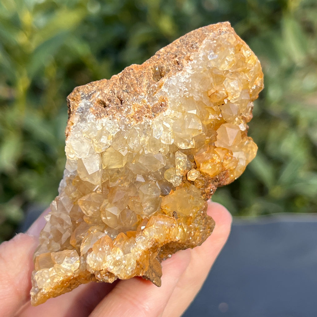 Cluster cuart lamaie Zambia, golden healer model 56, pietre semipretioase - druzy.ro 11 