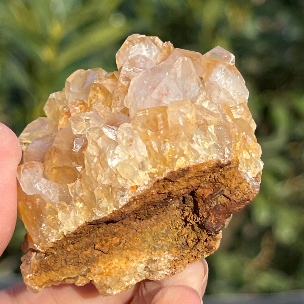 Cluster cuart lamaie Zambia, golden healer model 52, pietre semipretioase - druzy.ro 7 