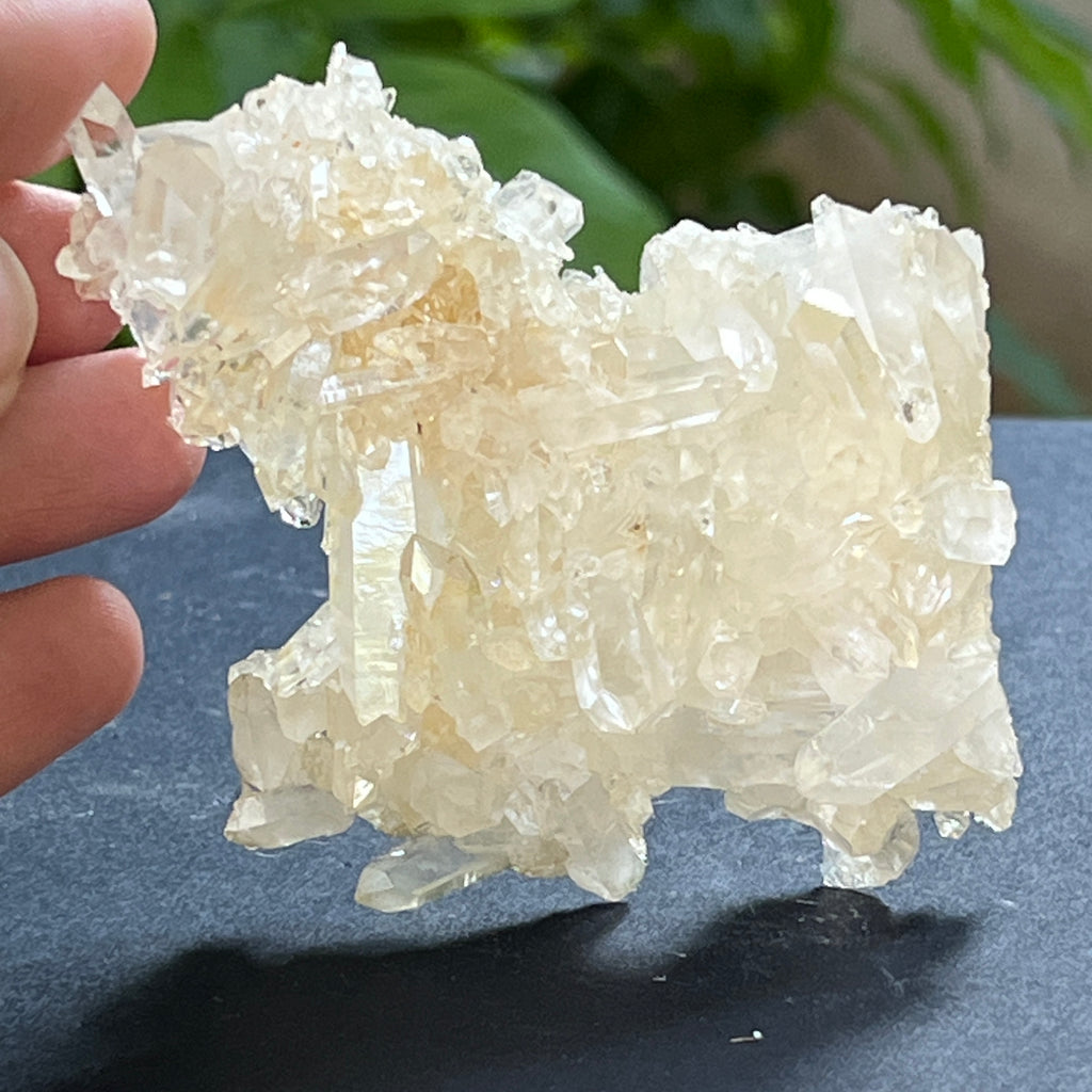 Cluster cuart incolor, floare de mina, cristal de stanca Zimbabwe m8, pietre semipretioase - druzy.ro 1 