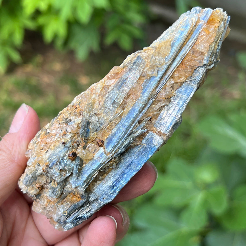 Kianit albastru (Cianit) piatra bruta din Zimbabwe model 14, pietre semipretioase - druzy.ro 2 