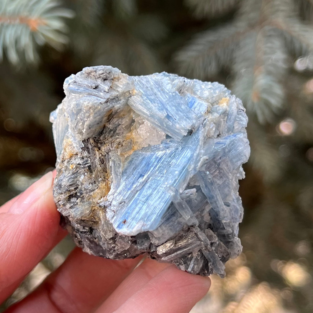 Kianit albastru (Cianit) piatra bruta din Zimbabwe model 7, druzy.ro, cristale 2