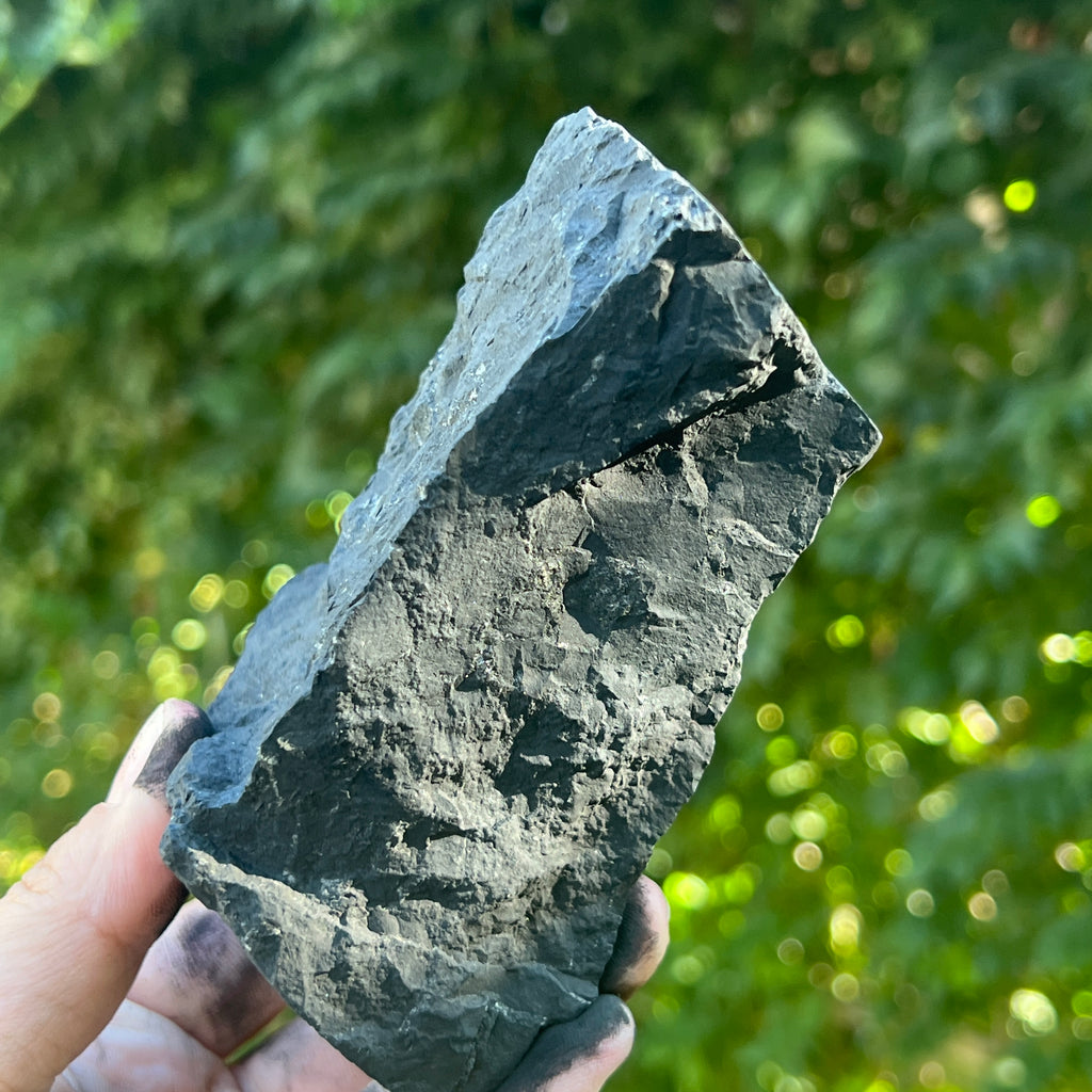 Shungit piatra bruta XXL model 2, pietre semipretioase - druzy.ro 4 