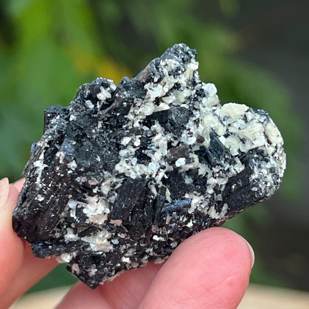 Cluster turmalina neagra cu vermiculita din Erongo m15, pietre semipretioase - druzy.ro 9 