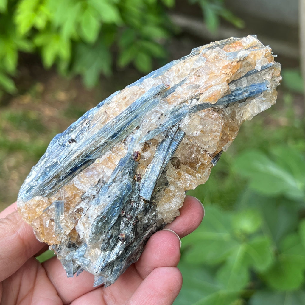 Kianit albastru (Cianit) piatra bruta din Zimbabwe model 14, pietre semipretioase - druzy.ro 5 