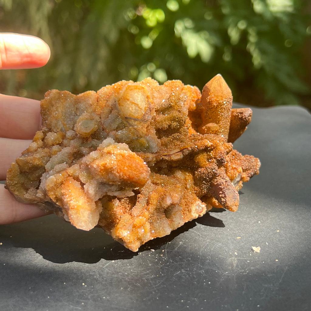 Cluster cuart lamaie, golden healer 4A/2, Africa de Sud, druzy.ro, pietre semipretioase 11