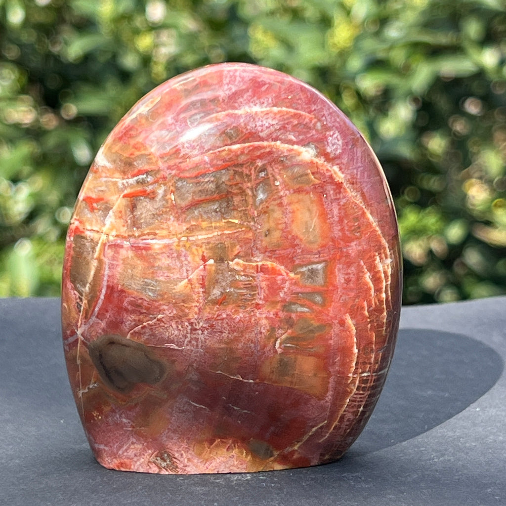 Lemn pietrificat sculptura model 4, pietre semipretioase - druzy.ro 2 