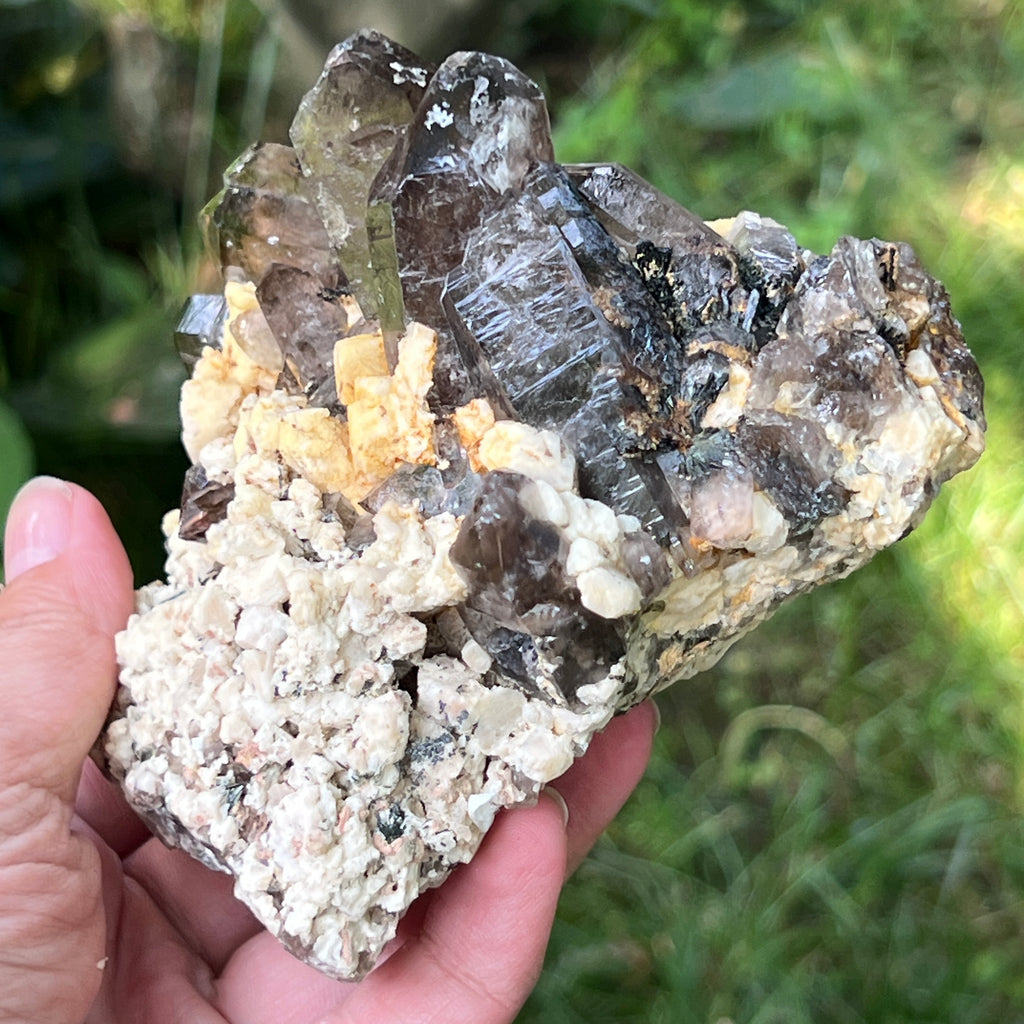 Specimen cluster cuart fumuriu m5, pietre semipretioase - druzy.ro 11 