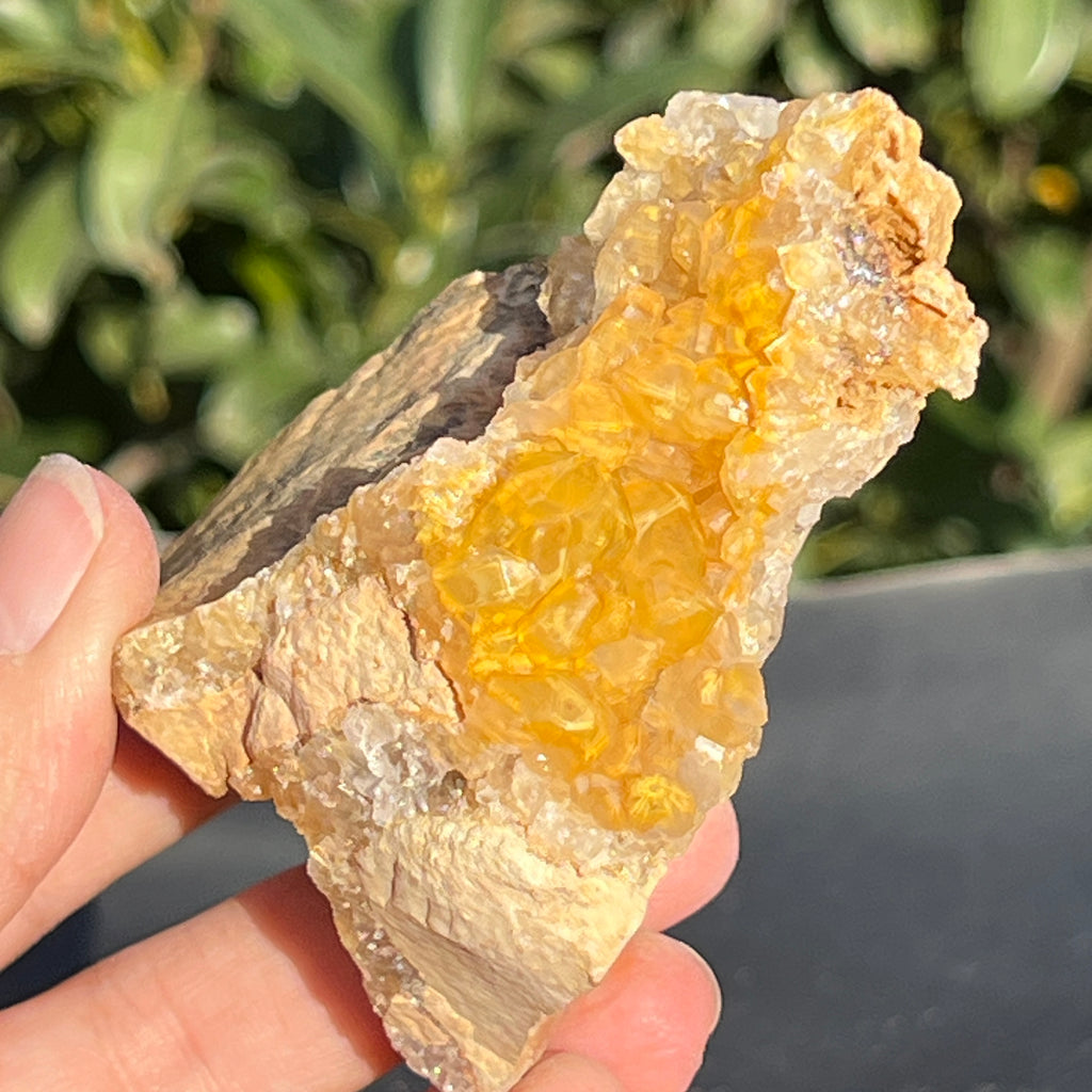 Cluster cuart lamaie Zambia, golden healer model 46, pietre semipretioase - druzy.ro 1 