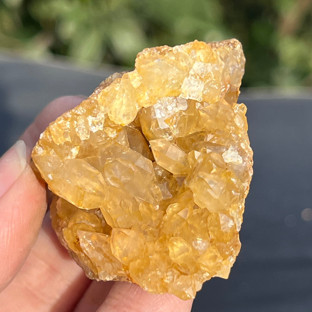 Cluster cuart lamaie Zambia, golden healer model 51, pietre semipretioase - druzy.ro 8 