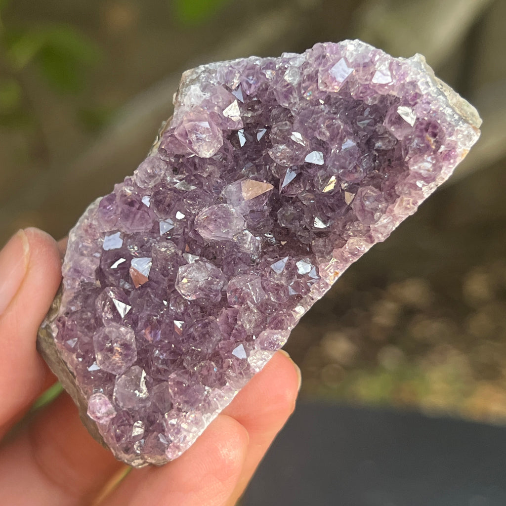 Cluster ametist model 12, pietre semipretioase - druzy.ro 1 