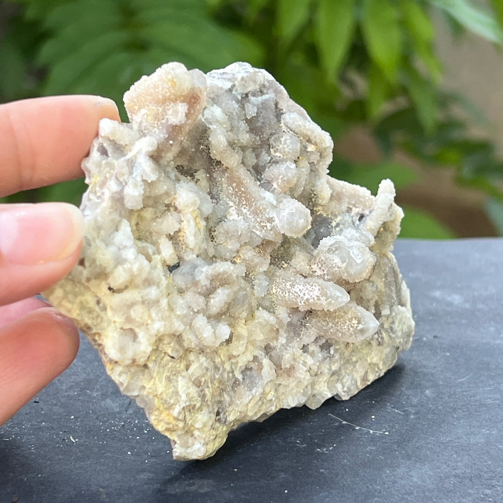 Cluster cuart spirit stalactit | Model 1, pietre semipretioase - druzy.ro 1 