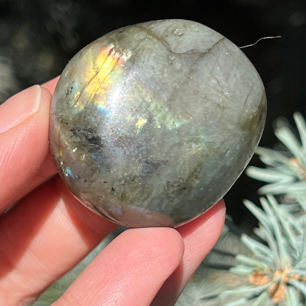 Labradorit palm stone m18, druzy.ro, cristale 5