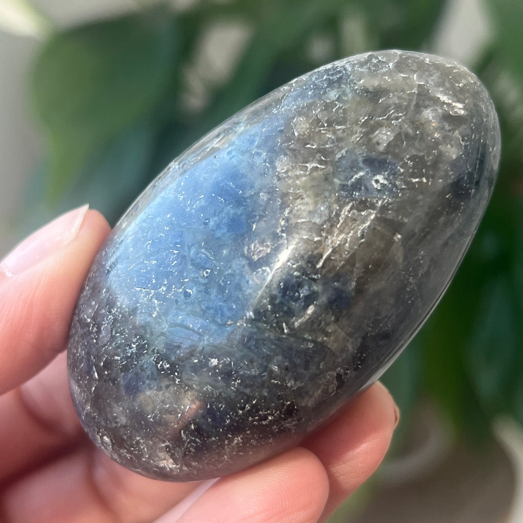 Palmstone Iolit (safir de apa) din Madagascar model 1, pietre semipretioase - druzy.ro 2 