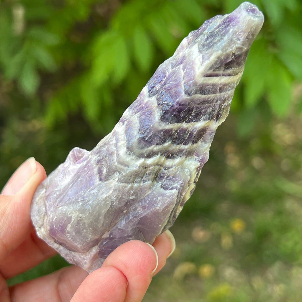 Ametist chevron piatra bruta/ varf m8, pietre semipretioase - druzy.ro 1 