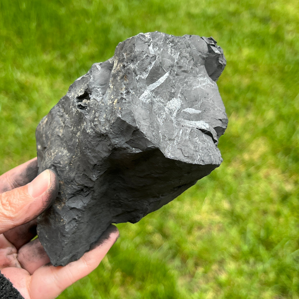 Shungit piatra bruta XXL model 7, pietre semipretioase - druzy.ro 4 