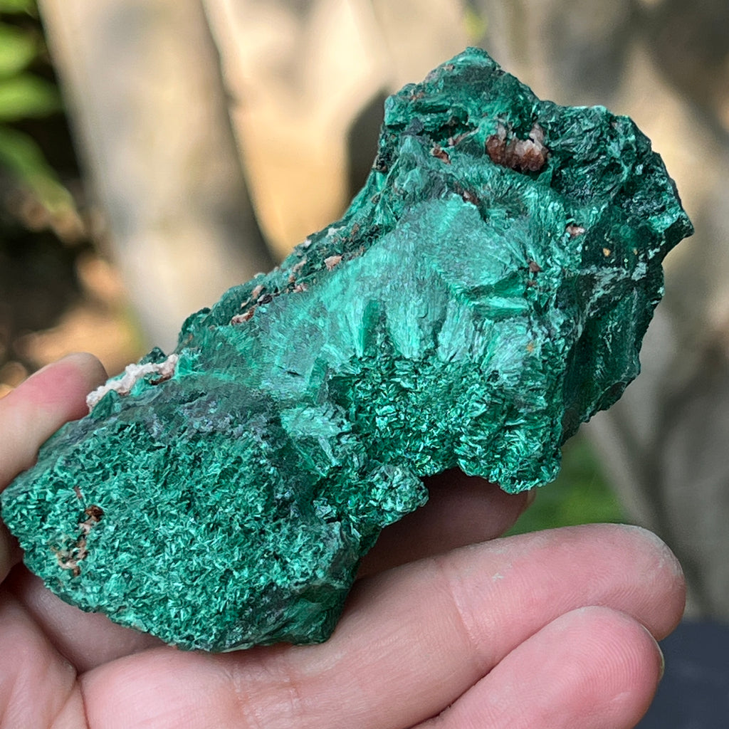 Malachit matasos piatra bruta m6, pietre semipretioase - druzy.ro 6 