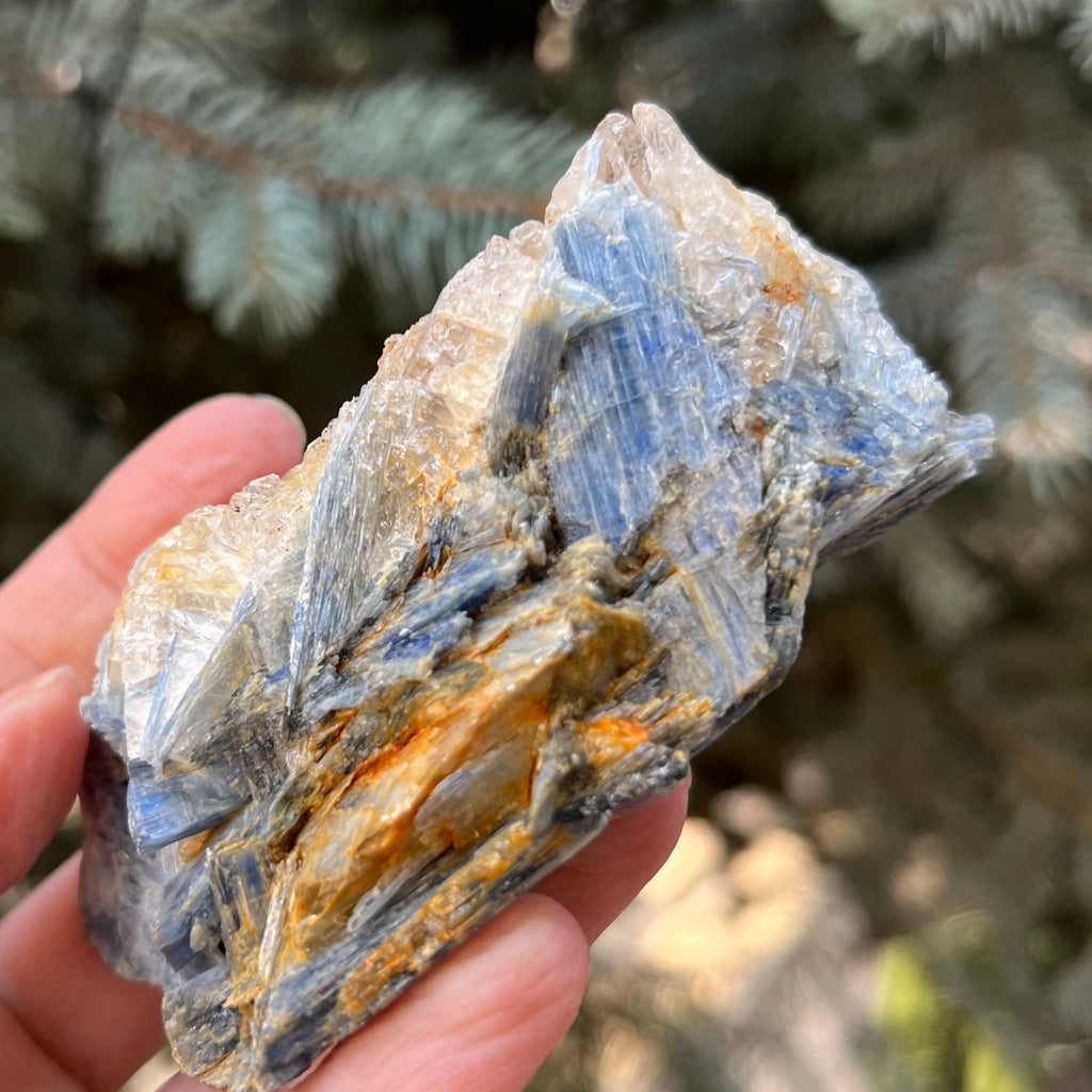 Kianit albastru (Cianit) piatra bruta din Zimbabwe model 9, druzy.ro, cristale 7