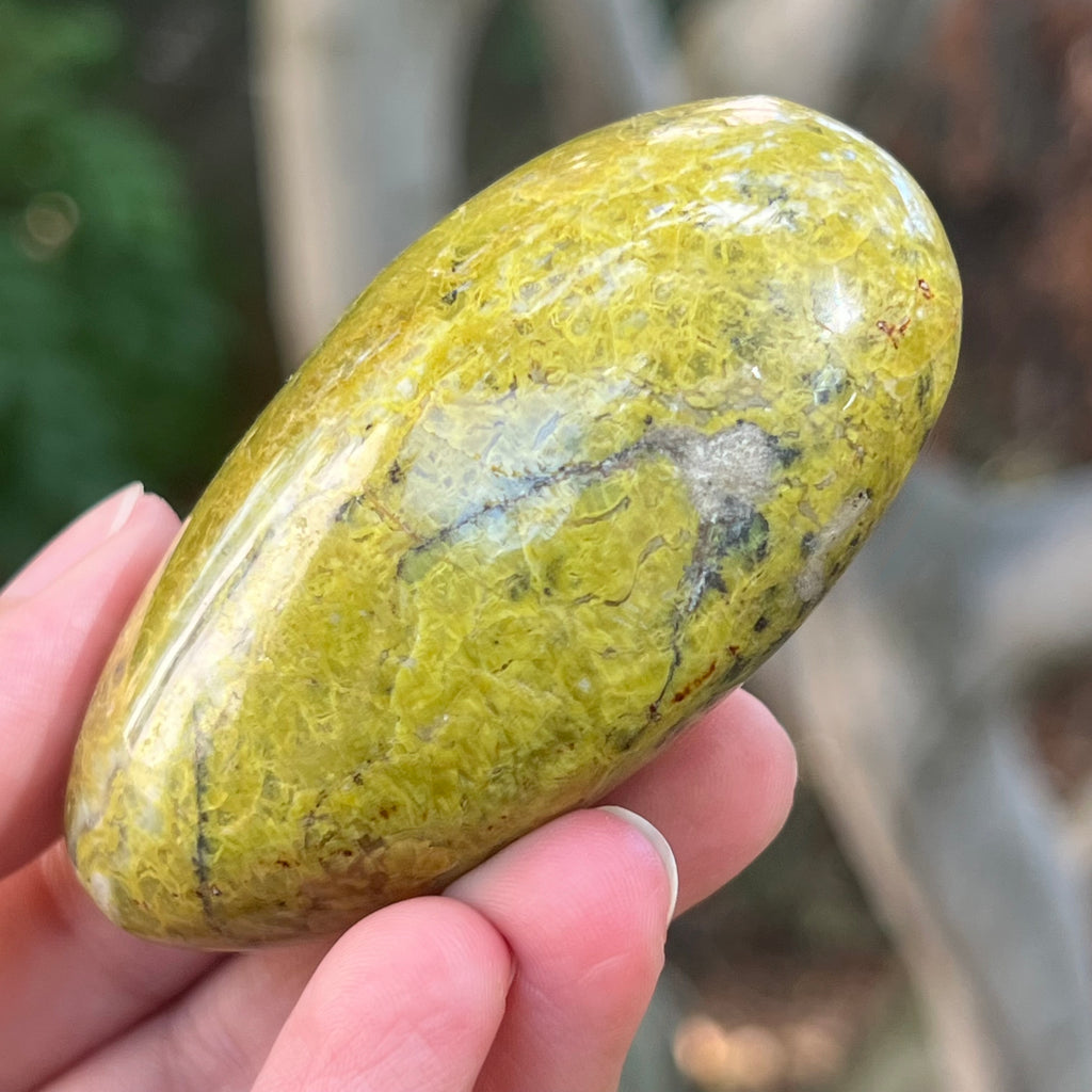 Opal verde palmstone m7, pietre semipretioase - druzy.ro 3 