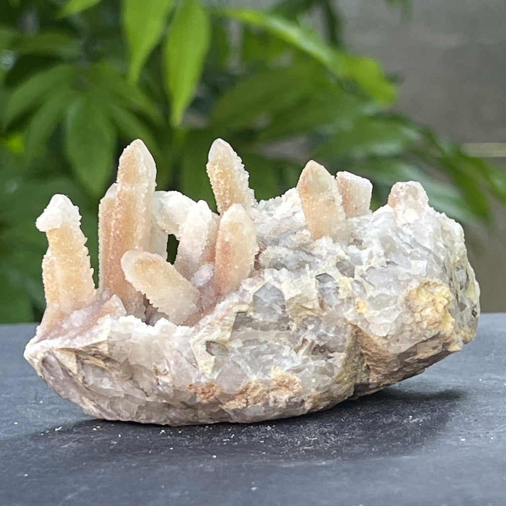 Cluster cuart spirit stalactit | Model 10, pietre semipretioase - druzy.ro 4 