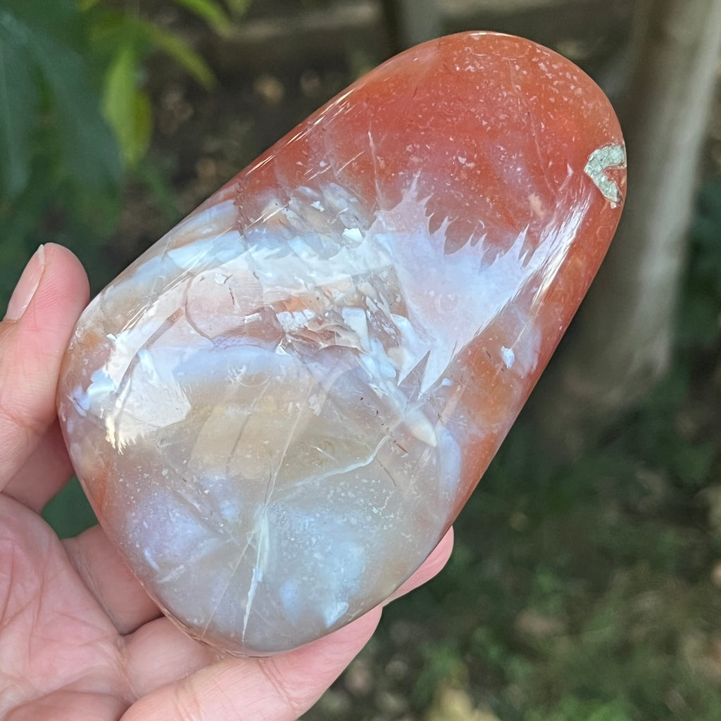 Nodul agat de Botswana, agat river, unicat | Model XL4, pietre semipretioase - druzy.ro 7 