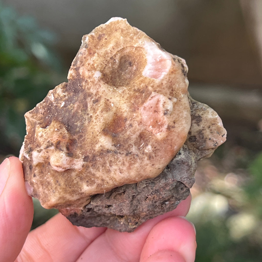 Zeolit piatra bruta model 22, pietre semipretioase - druzy.ro 5 