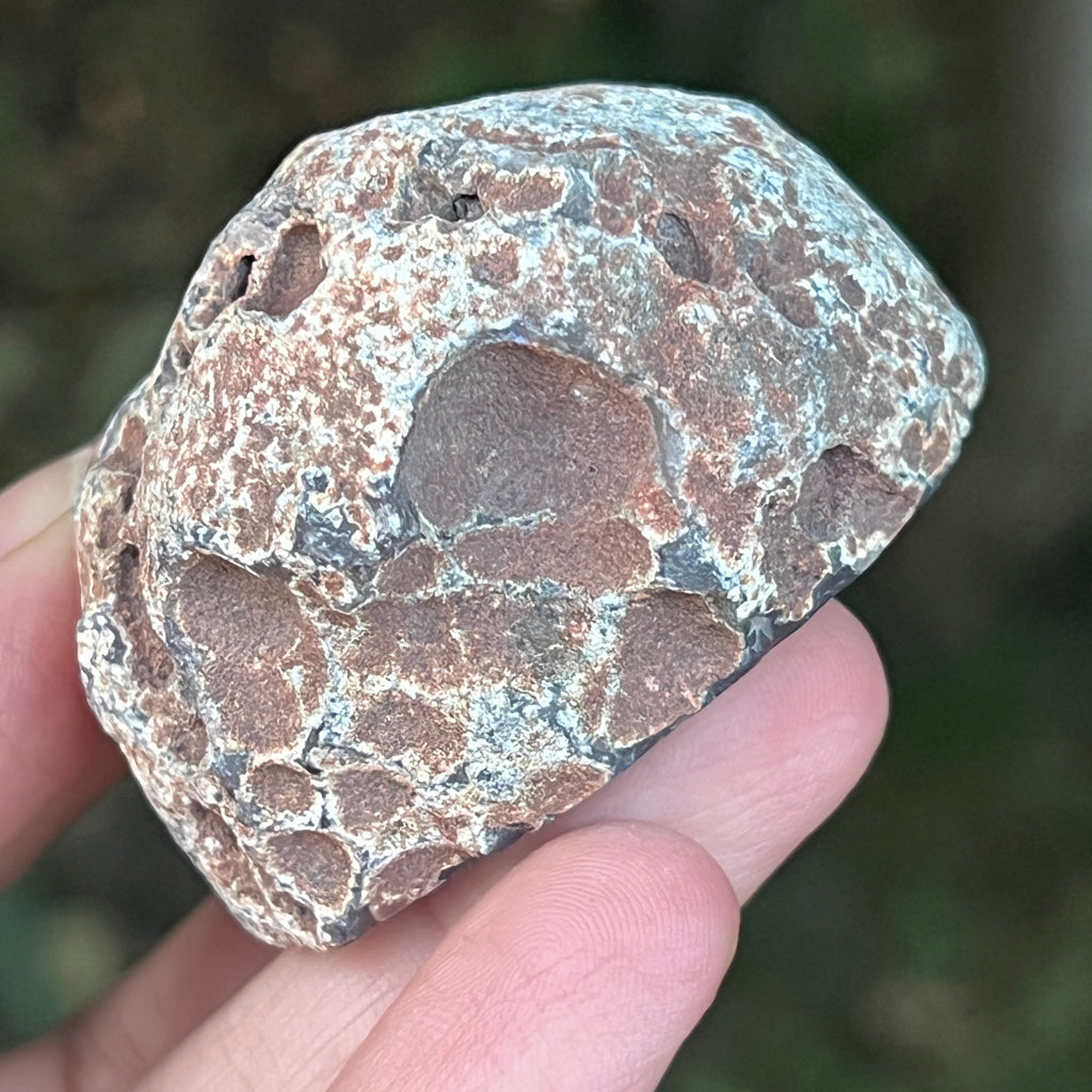 Agat de Botswana, nodul agat river model 8, pietre semipretioase - druzy.ro 3 