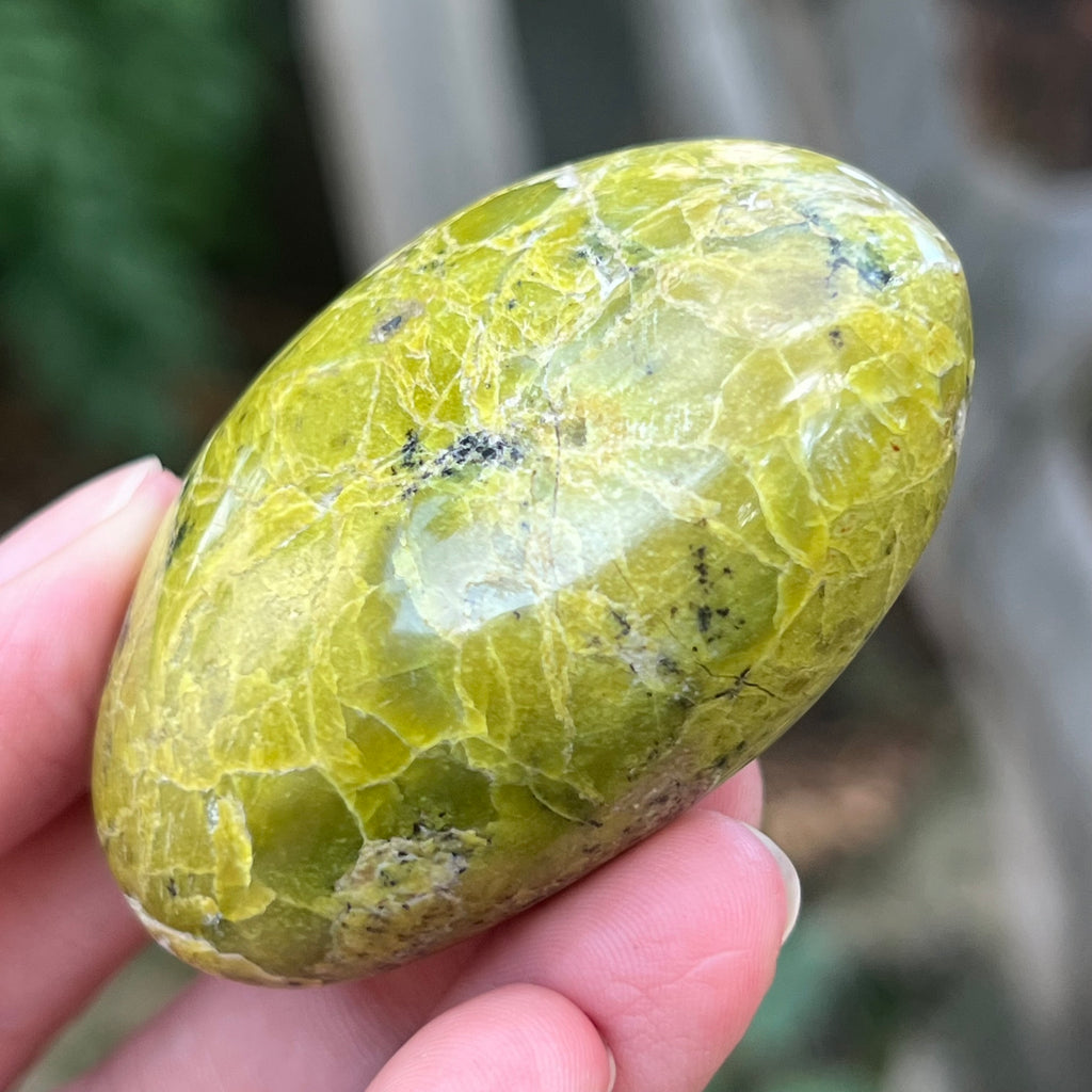 Opal verde palmstone m12, pietre semipretioase - druzy.ro 6 