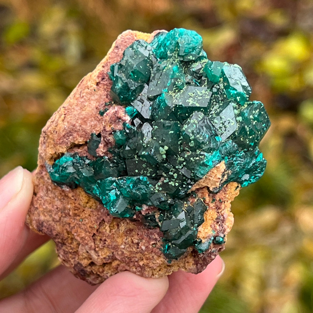 Dioptaz cluster din Congo model 11, pietre semipretioase - druzy.ro 1 