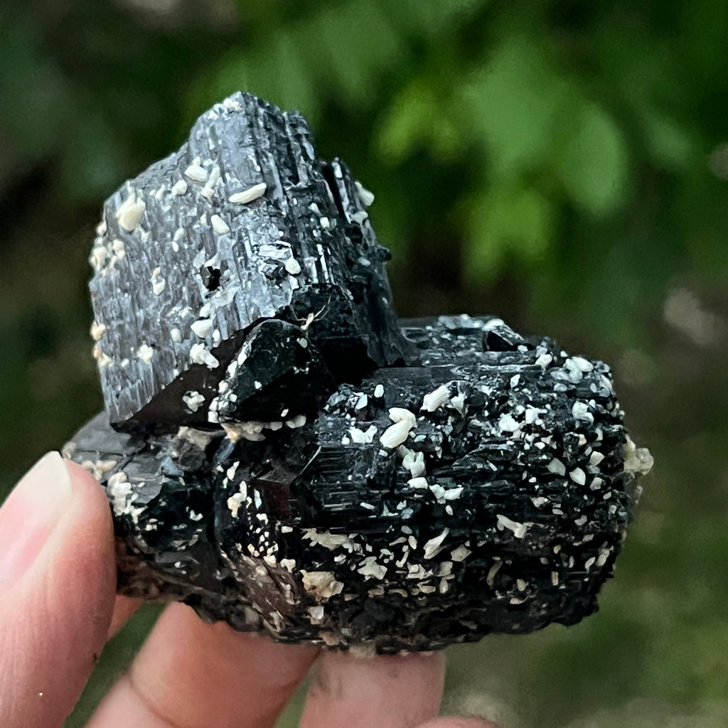 Cluster turmalina neagra model 6 din Erongo, Namibia, pietre semipretioase - druzy.ro 1 