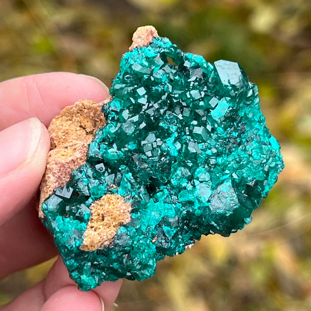 Dioptaz cluster din Congo model 3, pietre semipretioase - druzy.ro 4 