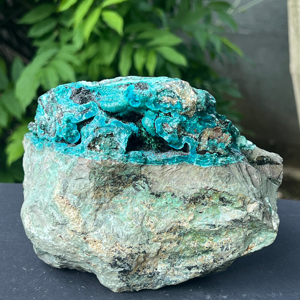 Cluster XL crisocola botrioidala piatra bruta model 3, pietre semipretioase - druzy.ro 7 