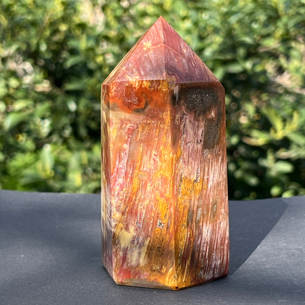 Obelisc lemn pietrificat m2, pietre semipretioase - druzy.ro 4 