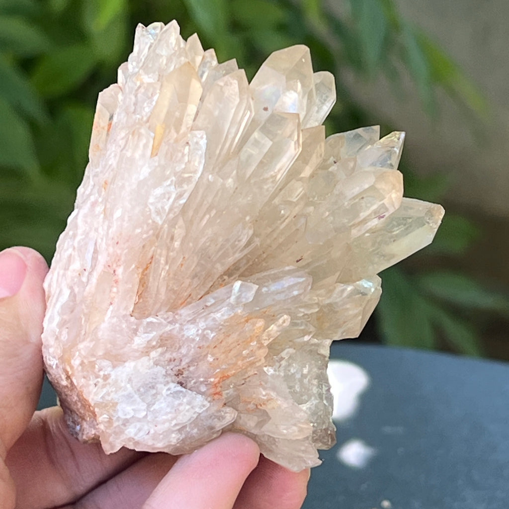 Citrin din Congo – specimen natural, netratat | Model 16, pietre semipretioase - druzy.ro 4 