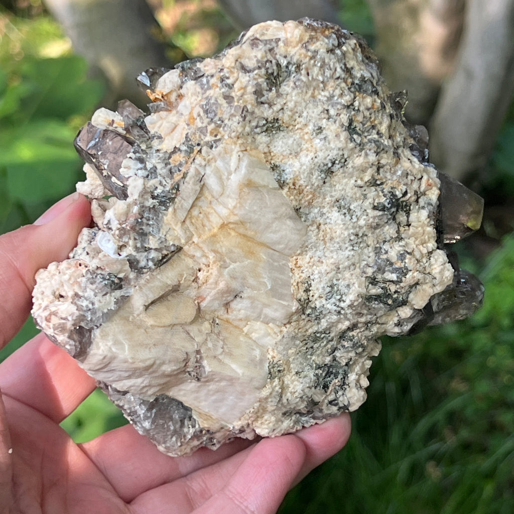 Specimen cluster cuart fumuriu m5, pietre semipretioase - druzy.ro 7 
