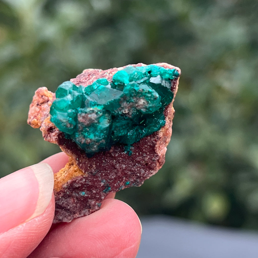 Dioptaz cluster din Congo model 40, pietre semipretioase - druzy.ro 4 